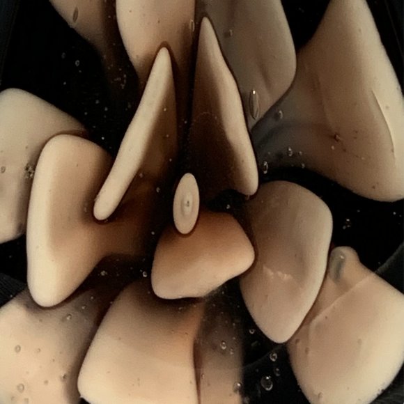 Black Pendant with 3-Dimensional Salmon Pink Floral Design Inside - Picture 7 of 10